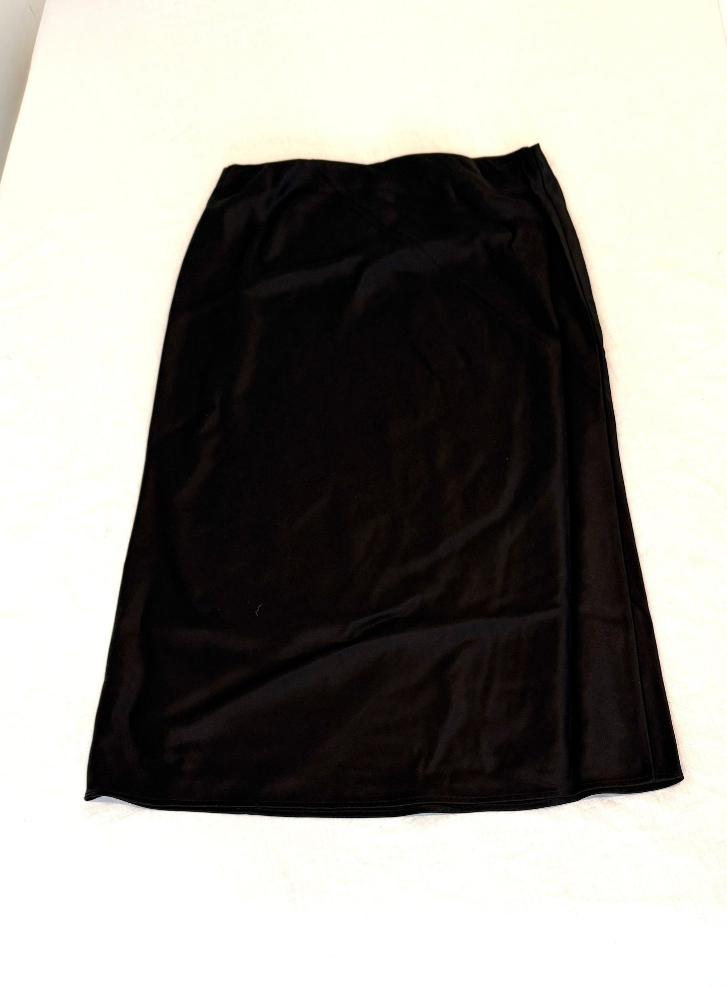 Alexander Wang Skirt with Safety Pin Embroidery